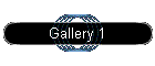 Gallery 1